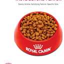 Royal Canin Breed Health Nutrition Miniature Schnauzer Puppy Dry Dog Food, 2.5 lb Bag (EXP 04/16/26)