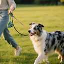 Poop Bags for Dogs - 40% Plant-Based, Extra Thick 9x13 Inch Dog Poop Bags RollsLeakproof Waste Bags (270 Counts with Dispenser)