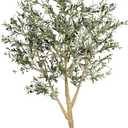 Realead 8ft Faux Olive Tree, Large Realistic Olive Trees Artificial Indoor, Tall Fake Olive Tree with Natural Wood Trunk and Lifelike Fruits for Home Office Decor