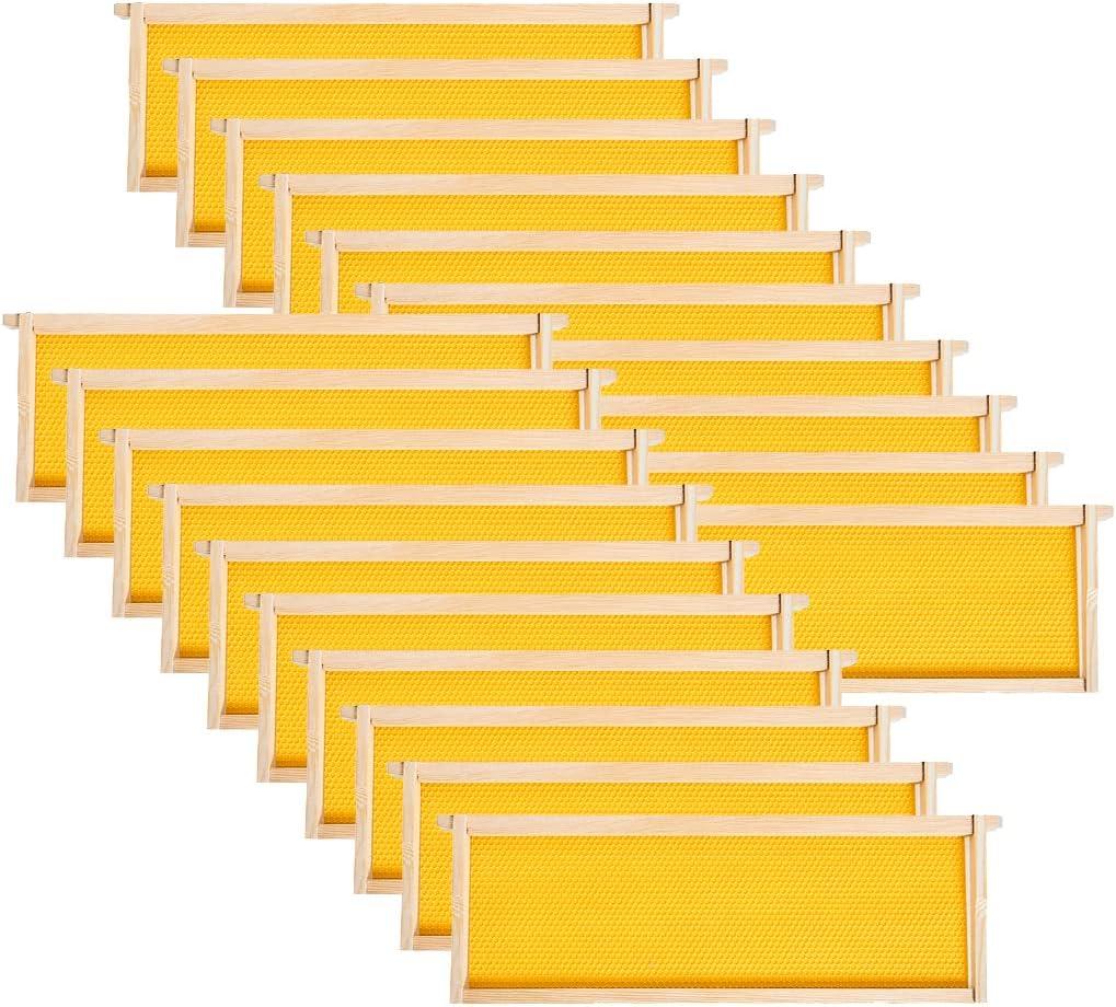 MayBee 20 Pack Honey Bee Frames with 100% Beeswax Coated Food Grade Foundation Sheets, Medium Super Beehive Frame for Beekeeping, 6-1/4-Inch (Yellow)