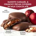 2 x Fannie May Mini Pixies, Premium Caramel Chocolate with Pecans, Holiday Chocolate Gift Box and Great for Sharing, 4.59 oz