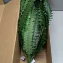 Nearly Natural 48in Artificial Boston Fern (Set of 2), Large Faux Greenery with 67 Lifelike Fronds for Indoor Wall, Shelf, and Home Office Decor