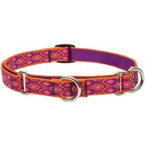 LupinePet Originals 3/4" Alpen Glow 14-20" Martingale Collar for Medium and Larger Dogs (3/4"W; 14-20"Neck)