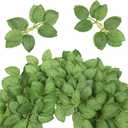 AmyHomie Artificial Roes Leaves 40pcs Silk Greenery Fake Rose Flower Leaves for DIY Wedding Bouquets Centerpieces Arrangements Party Baby Shower Home Decorations