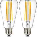 12V Edison Bulb 60 watt Equivalent E26 Medium Base 12V LED Light Bulb, AC/DC 12V-36V 6W Warm White 2700K Vintage Low Voltage Bulb for RV, 2 Pack