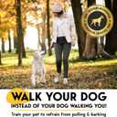 PetJett ProTrainer Prong Collar for Dogs - Choke Collar for Dogs, Pinch Collar for Dog Adjustable No Pull Training Collar for Dog - Safety Durable Stainless Steel Metal Choker Chain