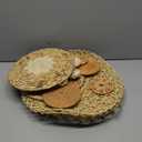 Glenmal Set of 13 Boho Wall Basket Decor Woven Rattan Flat Baskets Handmade Boho Wicker Bamboo Seagrass Wall Hanging Decor for Bedroom Living Room Dining Room Office Ready to Hang(Plain)