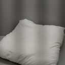 Edow Throw Pillow Insert, Lightweight Soft Polyester Down Alternative Decorative Pillow, Sham Stuffer, Machine Washable 22x22 (White, 1 Count (Pack of 1))