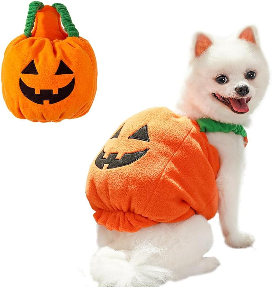 ANIAC Dog Pumpkin Costume Halloween Cat Pumpkin Outfit Funny Puppy Clothes for Small Dogs Pet Party Cosplay Accessories (Orange Clohes, Medium)