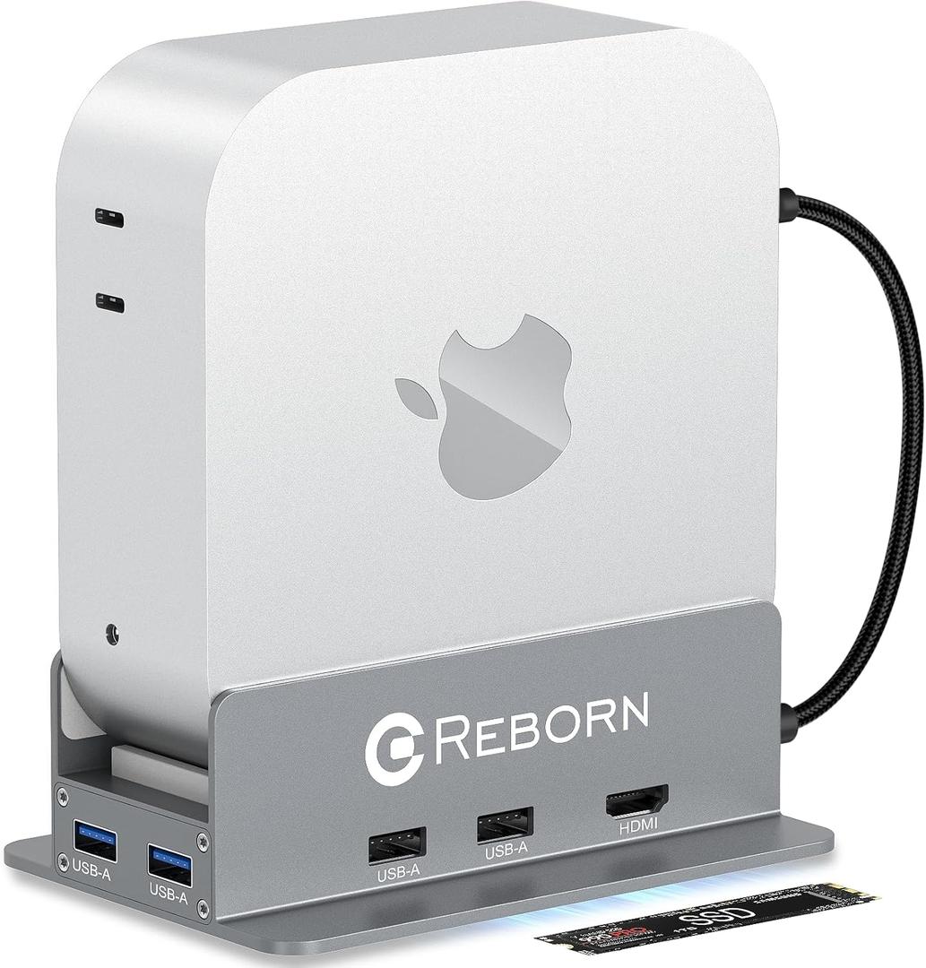 Reborn Mac mini M4 Dock & Stand with NVMe SSD Enclosure, Mac Mini M4 Hub with 4K60Hz HDMI, 4K60Hz DP, 5G USB A*2, USB A 2.0*2, TF/SD Card Reader 9-in-1 USB Hub for Mac mini M4,Mac mini M4 Pro - Silver
