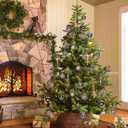 30PCS 2.36" Christmas Ball Ornaments Shatterproof Pink Christmas Tree Decorations Xmas Tree Balls Halloween Ornaments Dcor