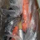 MAXLANDER 8-Inch Electric Pole Saw Corded - 6 Amp Pole Saws for Tree Trimming, 15-Feet MAX Reach Pole Saw, 31ft/s Cutting Speed - Easy Tree Trimming & Tool-Free Setup