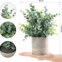 2 Pack Small Fake Plants Eucalyptus Potted Artificial Plants for Shelf Desk Home Bathroom Farmhouse Room Coffee Table Decor (Sage Green)
