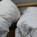 MINICAMP First Organic U-Shape Pregnancy Pillow for Sleeping with Natural Kapok Filling and GOTS Certified Cotton Cover. Nursing & Comfort Pillow for Maternity Support with Removable Cover Included! (Plain White)