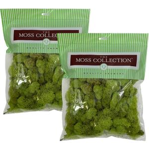 Quality Growers Reindeer Moss, Preserved Moss, Chartreuse, Medium 2-Pack | Preserved Moss for Crafts, Home Decor, Art, Design & DIY Projects, Non-Toxic, All Natural, Family Owned, USA Made