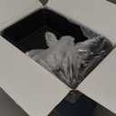 Dealusy 50 Pack (100-Piece) 28 oz Meal Prep Containers Reusable with Lids, Sturdy Leakproof & Food Safe, Microwave, Freezer, Dishwasher Safe Prep Containers, To Go Take Out Plastic Food Storage