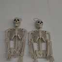 2pcs 24" Halloween skeletons full body skeletons