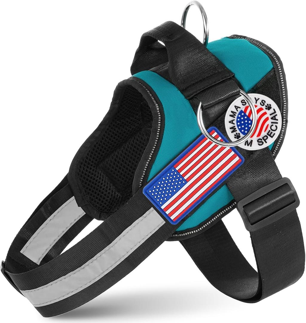 Essential Dog Harness with 3 Leash Clips - No-Pull, Adjustable, Comfortable Pet Vest Harness for Small to Large Dogs - Easy On, No Choke, Reflective, Padded Harness for Walking and Training (S(Neck:14-18",Chest:16-21"), Turquoise)