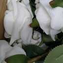 Kenpal 20pack Fake Roses Artificial Flowers with Stem for Wedding Decoration Centerpieces Bouquets Well Packing(White)