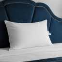 750 Fill Power White Goose Down Pillow, Standard Size 20x26 Inches - for Back, Side and Stomach Sleepers - Includes Pillowcase for Home, Travel, Dorm or Guest Room (1 Pack)