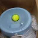 Automatic Dog Ball Launcher for Small Dogs Dog Ball Thrower Fetch Machine - Indoor Outdoor Interactive Toy with 3 Mini Tennis Balls 2 Inch