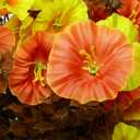 2 x Fake Fall Flowers Faux Artificial Fall Flowers for Outdoors Planters for Autumn Thanksgiving Decor (4, Fall)