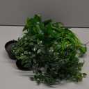 Palonu Artificial Hanging Plants for Shelf, 4 Pack Fake Potted Greenery Plant Faux Mandala Vine, String of Pearls, Ivy Vine,Persian Grass Fern in Pot for Desk Home Bathroom Farmhouse Room Table Decor