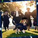 Huhumy 3 Pcs Dog Cat Graduation Doctoral Costume Set, 2026 Pet Phd Graduation Cap and Deluxe Doctoral Gown with Hood Side Tam Puppy Kitty Dogs Grad Holiday Party Costume Accessory(Royal Blue,M)