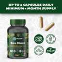 Sea Moss with Black Seed Oil, Ashwagandha, Turmeric, Bladderwrack, Burdock Root, Manuka Honey, Vitamin C & D3, Apple Cider Vinegar, Dandelion Root, Yellow Dock Root, Elderberry Fruit, Chlorophyll