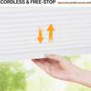 LazBlinds Light Filtering Cellular Shade, White 26" x48" | Foam Adhesive For No Drill Rental Or Screws For Permanent Cordless Design With Smooth Up/Down Operation