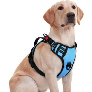 rabbitgoo Dog Harness Medium Sized, No Pull Pet Harness with Soft Padded Handle, Adjustable Reflective Vest with 3 Buckles, Easy Walking Harness with 2 Leash Clips, Light Blue, M