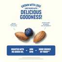 Blue Diamond Almonds, Premium Sea Salt and Blueberries Snack Nuts Perfect Snack Mix with Protein and Fiber, 7 Ounce (Pack of 1) (EXP 03/21/26)