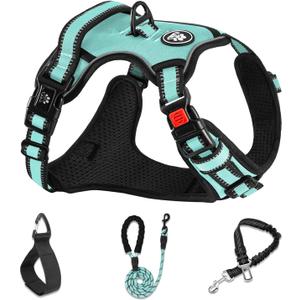 NESTROAD No Pull Dog Harness,Adjustable Oxford Dog Vest Harness with Leash,Reflective No-Choke Pet Harness with Easy Control Soft Handle for Medium Dogs(Medium,Turquoise)