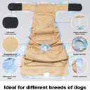 Reusable Dog Diapers Female Large Washable, Premium Doggie Diaper for Dogs, Pack of 3, Highly Absorbent Dog Diaper for Heat, Incontinence and Puppy Training (L)