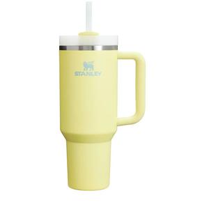 STANLEY Quencher H2.0 Tumbler with Handle and Straw 40 oz | Flowstate 3-Position Lid | Cup Holder Compatible for Travel | Insulated Stainless Steel Cup | BPA-Free | Pomelo
