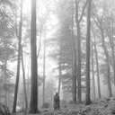 Folklore Clean Version