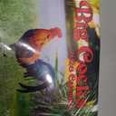 Big Cocks Calendar 2026 Rooster Monthly Wall Calender 12 Month | American Made In The USA