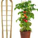 Taoskai 3 Pack 4 Feet U-Shape Bamboo Trellis, Natural Garden Bamboo Trellis for Climbing Plants, Vegetables, Cucumber, Tomato, Outdoor and Indoor Potted Plants