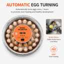 30 Egg Incubator with Automatic Egg Turning, Temperature Control and Humidity Monitor Incubators for Hatching Eggs, Chicken, Ducks, Goose, Pigeon, Quail, Parrot Incubator for Farm, Lab