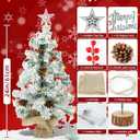 24 Inch/2 FT Mini Christmas Tree Blind Box, Small Tabletop Flocked Tree with LED Lights, Pine Cones, Star Tree Topper, Snow Flocked Artificial Pine Xmas Tree,Mini Gift Box and Cloth Bag Base (Blind Box -50% of White/Green)