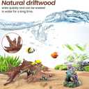 2-Piece 10-14 inch Natural Aquarium Driftwood Decorations - Aquascape Decor for Fish Tanks, Betta Hideouts, Reptile Enclosures & Plant Attachment