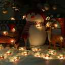 2 x 2 Pack Battery Operated Christmas Lights for Tree Decorations7ft 20 LEDs Farmhouse Truck String Lights for Indoor Christmas Tree Garland DecorWarm White