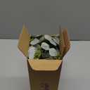 Artificial Eucalyptus Stems in Glass Vase with Faux Water,5Pcs Fake Plant with Double-Sided Leaves and Green Seeds for Centerpiece (Double-Sided Green Eucalyptus with Seed)