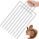 Qualirey Trap Divider Stainless Steel Small Animal Trap Fork Divider for 9" Wide and Smaller Live Feral Cat Cages