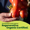 Pacific Foods Organic Creamy Tomato Soup, 32 oz Carton (EXP 10/31/26)