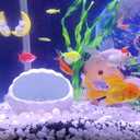 FANTIAN 5 lbs White Pebbles for Indoor Plants, 0.5-1 Inch Pea Gravel Stones for Planters, Decorative River Rocks for Succulent, Cactus, Vases, Aquariums, Crafting and Garden Landscaping