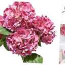 dallisten 5PCS 20'' Rose red Artificial Hydrangea Flowers Latex Faux Hydrangeas Realistic Silk Hydrangea with Stems for Home Decor Weddings Table Floral Arrangements Centerpieces Party Decorations