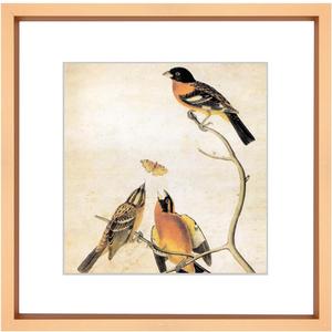 10x10 Picture Frame, Gold Metal Square Photo Frames with HD Glass, Fits 6x6 with Mat or 10 x 10 without Mat, Display for Wall and Table, 1 Pack