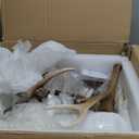 Antler Chandelier Lighting,Small Deer Rustic Farmhouse Chandelier Light Fixtures for Dining Room Living Room Kitchen Island Bedroom Entryway Foyer(6 Lights, Brown) (6 Lamp Arms + 3 Arms)