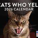 Cats Who Yell Calendar 2026 Monthly Wall Calender 12 Month | American Made In The USA